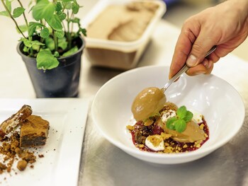 dormero hotel greifswald