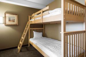 Comfort Inn & Suites,Langley>>Aldergrove,3 star