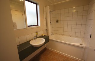 best western dunedin