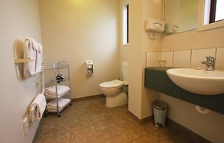 best western dunedin