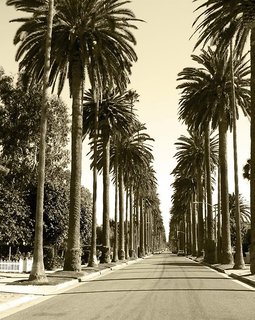 the westin los angeles airport