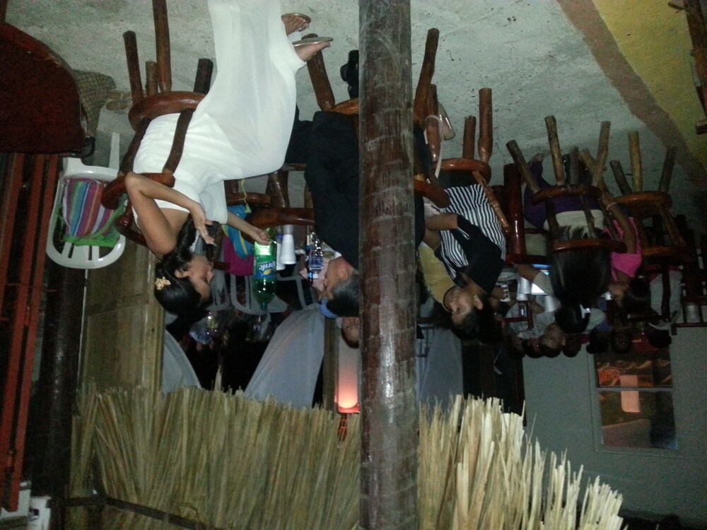 la ceiba