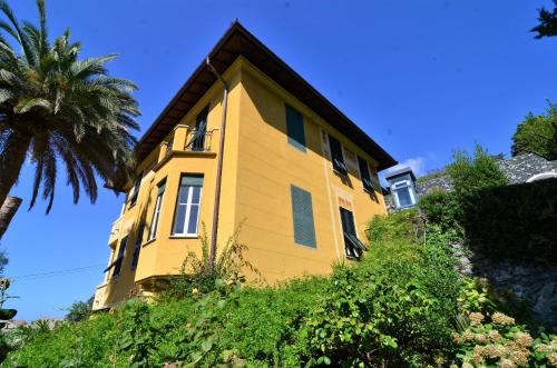 levanto