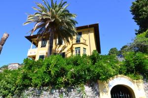 levanto