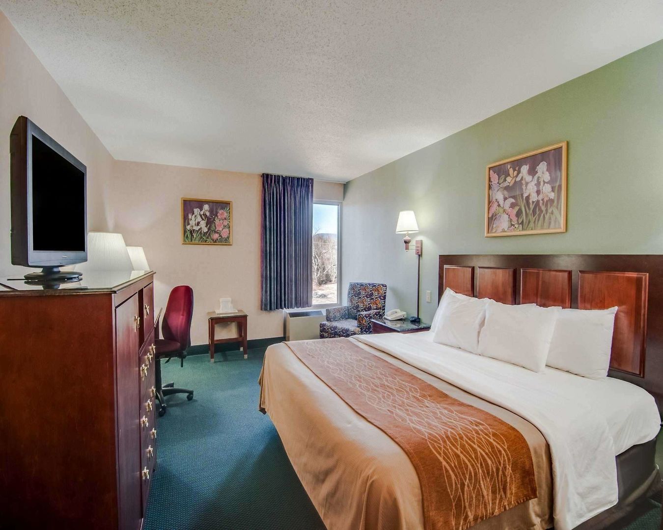 comfort inn virginia horse center