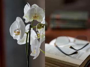 Royal St. Georges Hotel Interlaken - Mgallery Collection,Canton Of Bern>>Interlaken,5 star