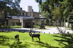 El Casco Art Hotel,Villa Catedral>>San Carlos De Bariloche,5 star