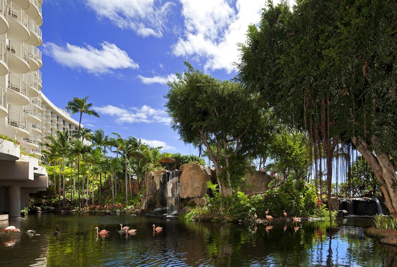 the westin maui resort and spa kaanapali