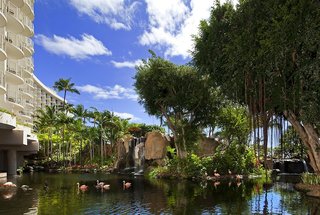 the westin maui resort and spa kaanapali