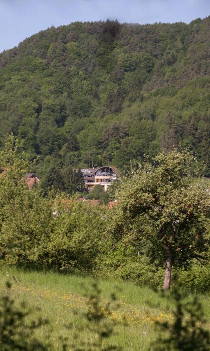 hotel am hirschhorn
