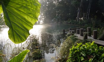 zen namkhan boutique resort
