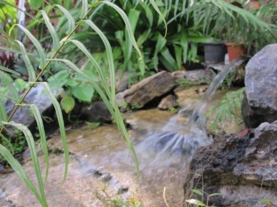 zen namkhan boutique resort