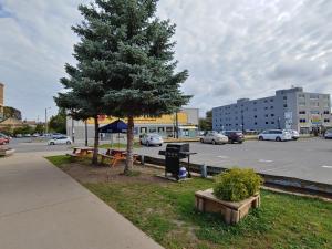Econo Lodge City Centre,Ontario>>Kingston,2 star