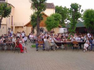 Traube Medias,Sibiu>>Medias,3 star