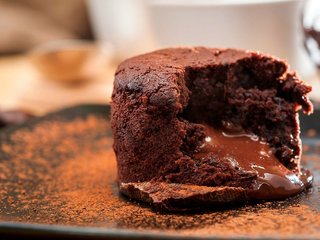 le chesnay rocquencourt