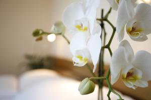 Ambassador Self Check-In Hotel,Inwil>>Canton Of Lucerne,3 star