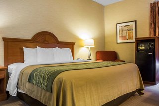 Quality Inn & Suites,Tioga>>Mansfield,3 star