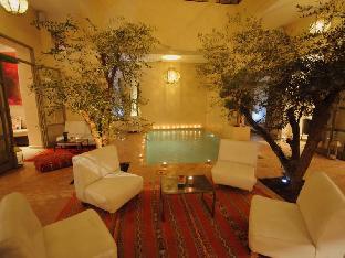 riad vendome and spa