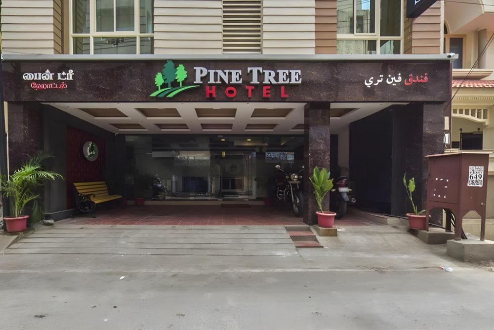 pine tree boutique hotel near us consulate and apollo hospital