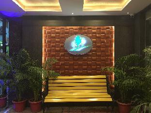 pine tree boutique hotel near us consulate and apollo hospital