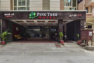 pine tree boutique hotel near us consulate and apollo hospital