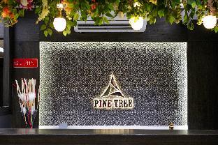 pine tree boutique hotel near us consulate and apollo hospital