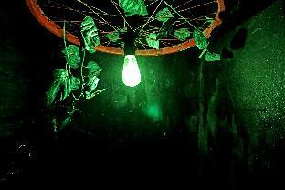 town house near m2k cinema pitampura