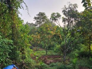 studio arambol green haven r 7