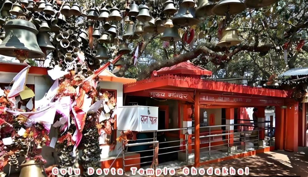 four season homestay bhowali bhimtal