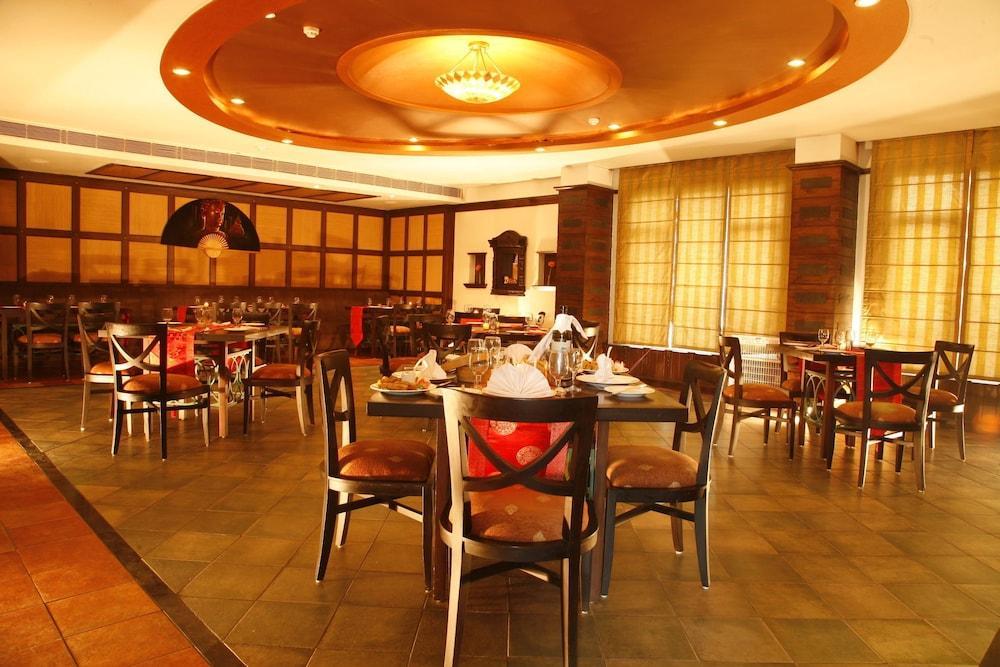 treehouse hotel club and spa bhiwadi