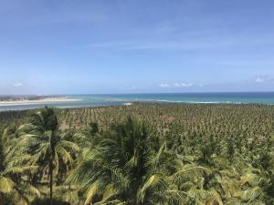 maceio