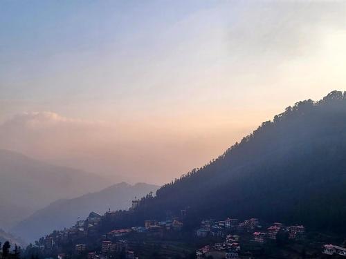 bay leaf by live inn