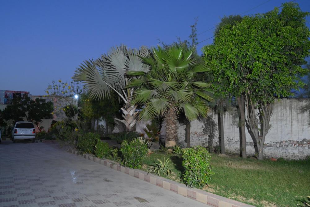 adb resort refinery road