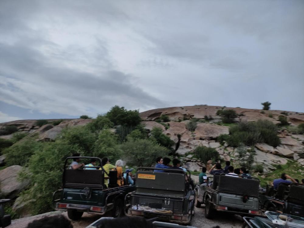 hinglaj palace hotel jawai bijapur