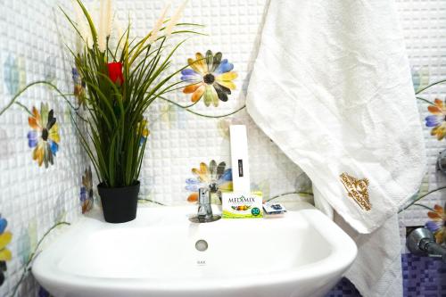 homey meadows vizag beach