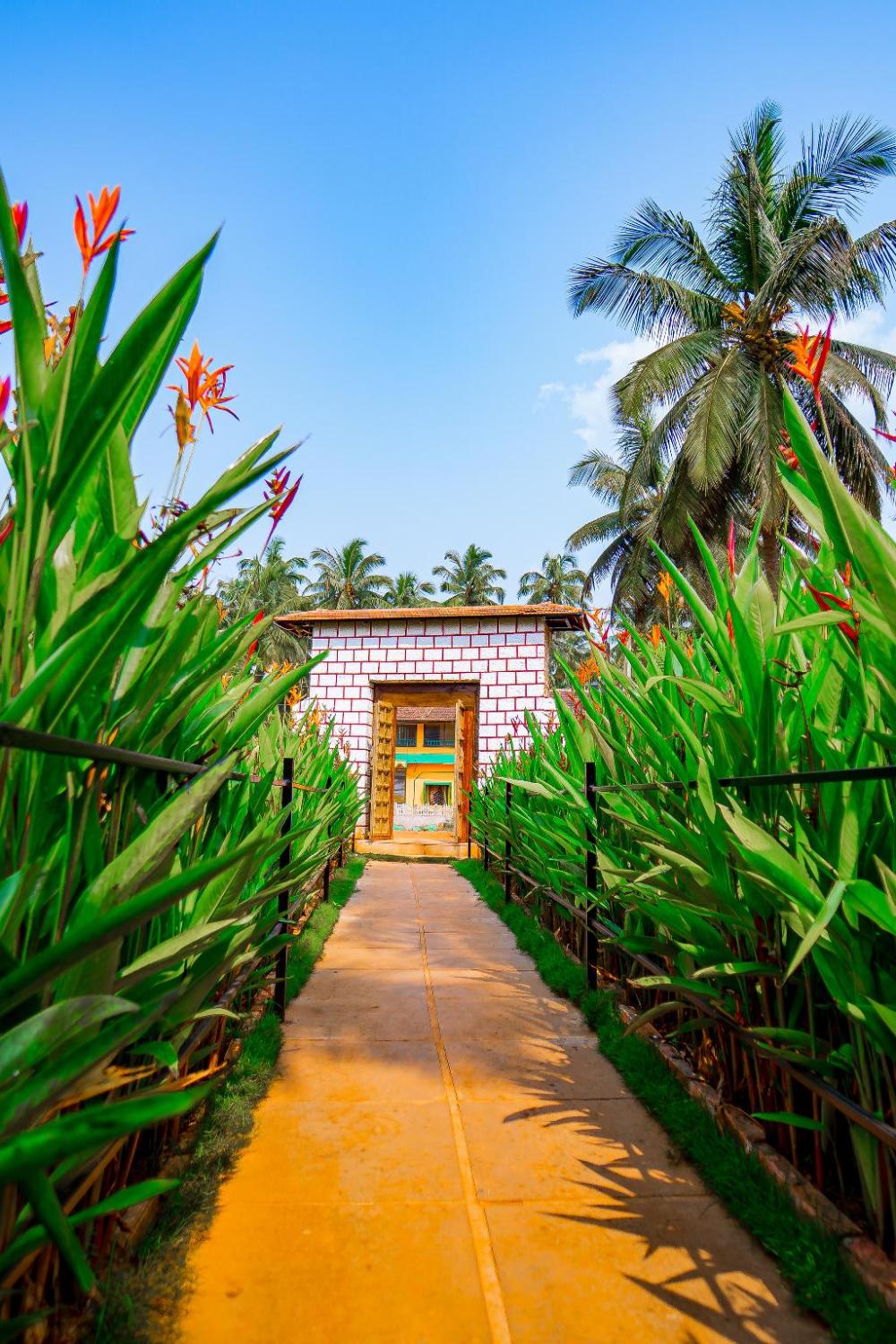 the titos orange sky agonda beach resort