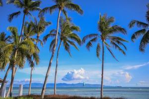 lime and soda beachfront resort