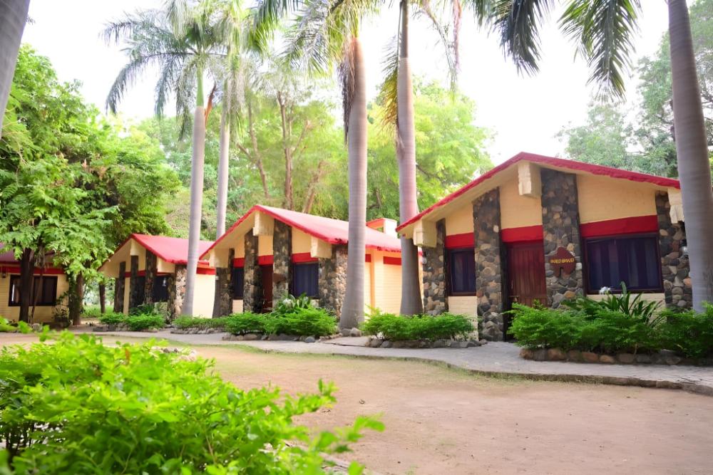 leopards lair jungle lodge