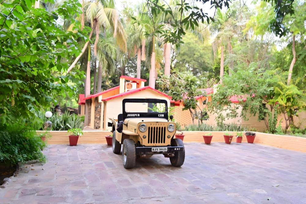 leopards lair jungle lodge