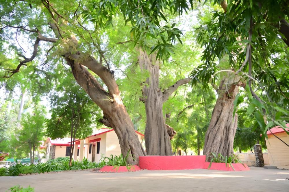 leopards lair jungle lodge