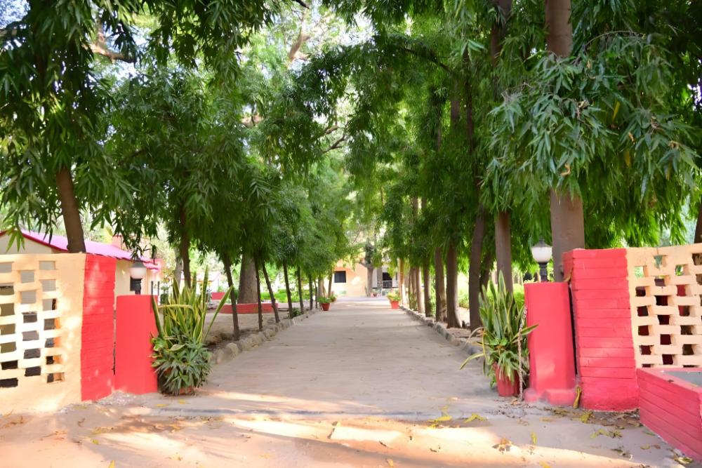 leopards lair jungle lodge