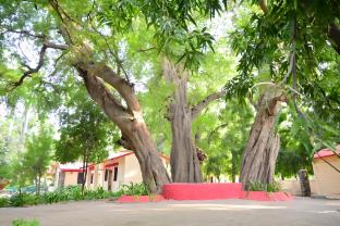 leopards lair jungle lodge