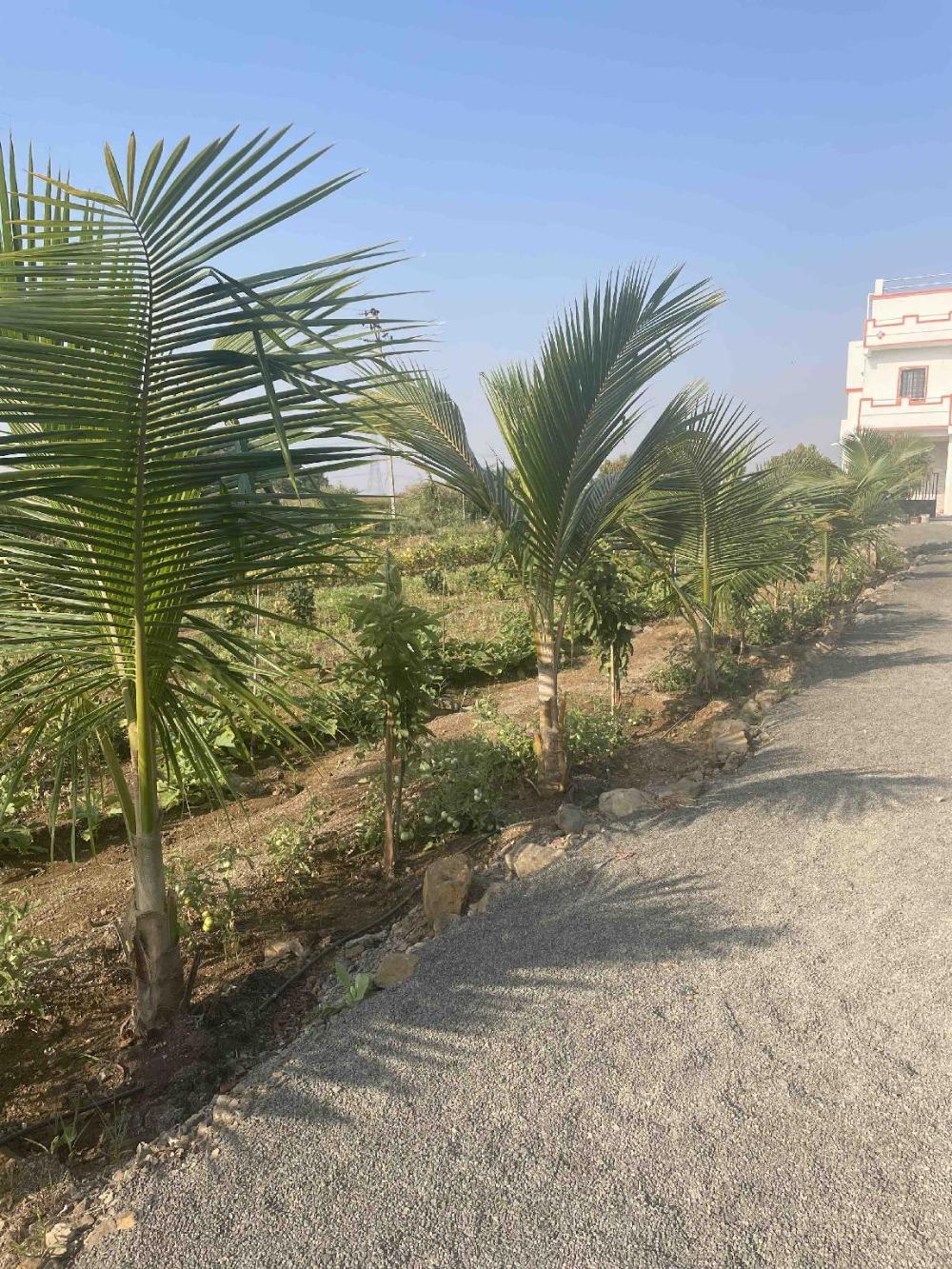 tuljapur
