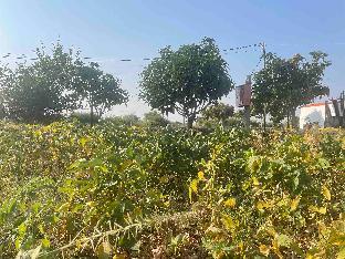 tuljapur