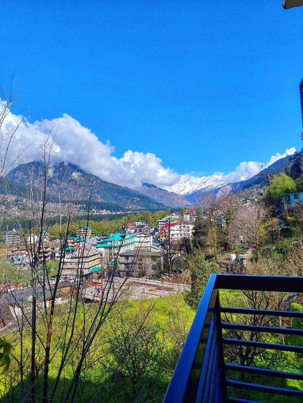 the trip house manali