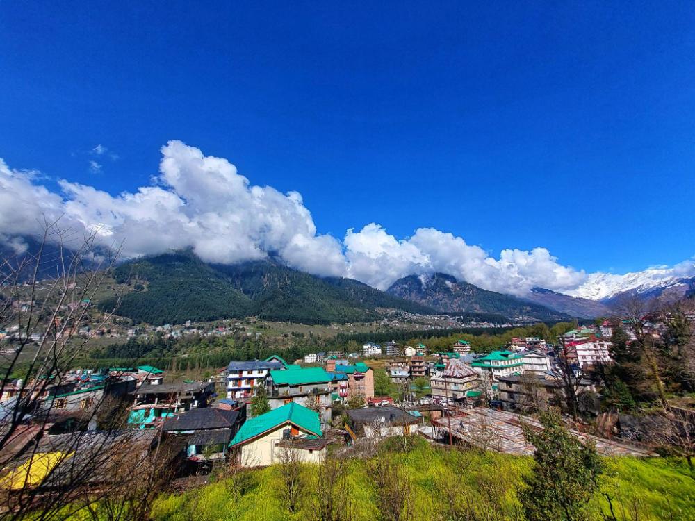 the trip house manali