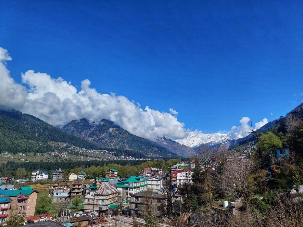 the trip house manali