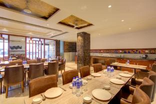 the elevate hotel near delhi airport