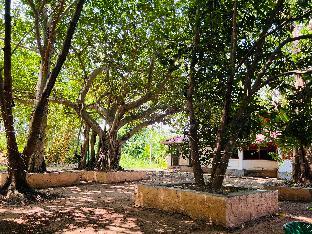 surya eco and wedding resort