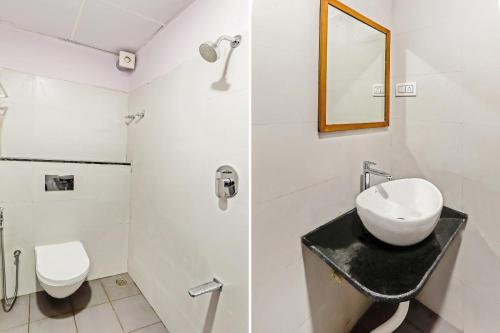 collection o champion paradise